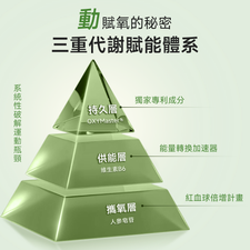 NatureU 動 OXYMaster®+人參皂苷+VB6 氧氣片30粒/瓶